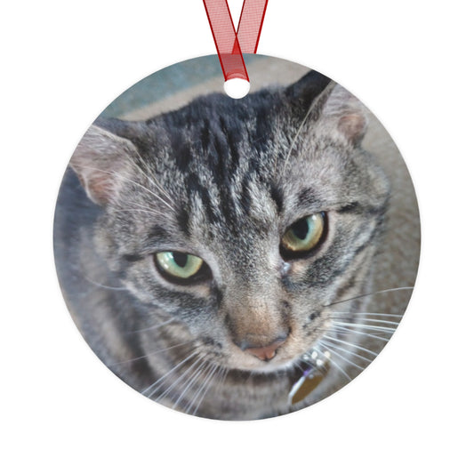 Personalized Pet Photo Metal Christmas Ornament – Custom Name and Year